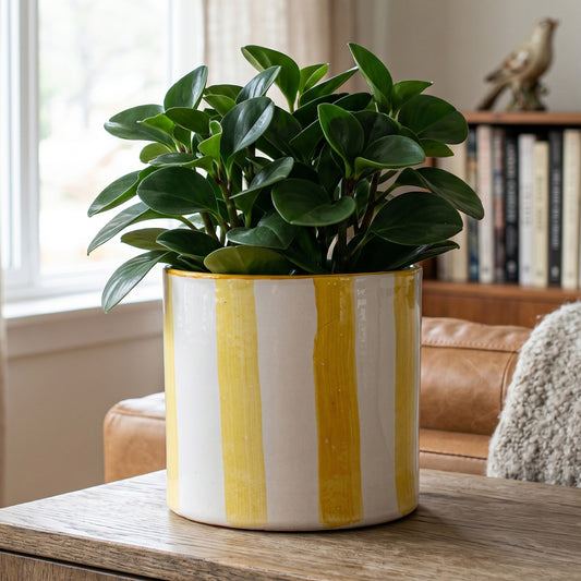 Yellow Paros Painted Stripe Planter