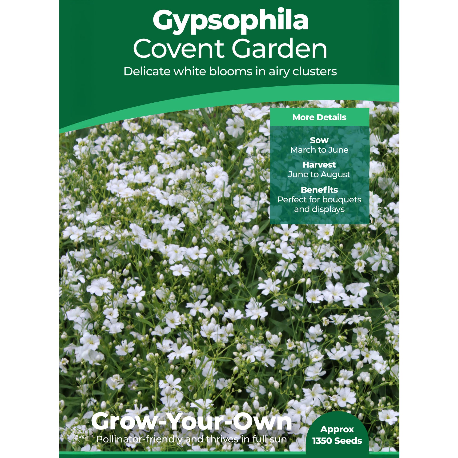 gypsophila covent garden seeds Gypsophila Covent Garden Flower Seeds