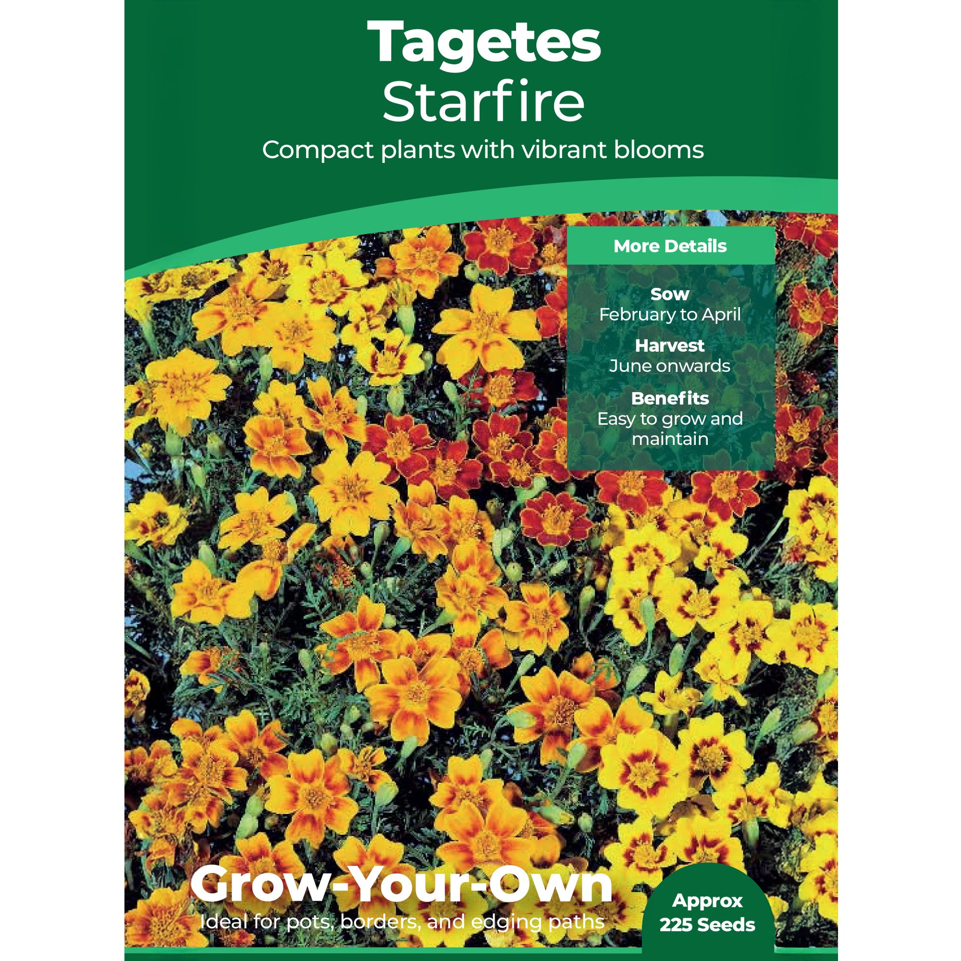 starfire marigold seeds Tagetes Starfire | Grow Your Own