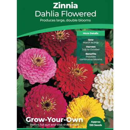 Zinnia Dahlia Flowered Mixed | Grow Your Own | Free UK Delivery