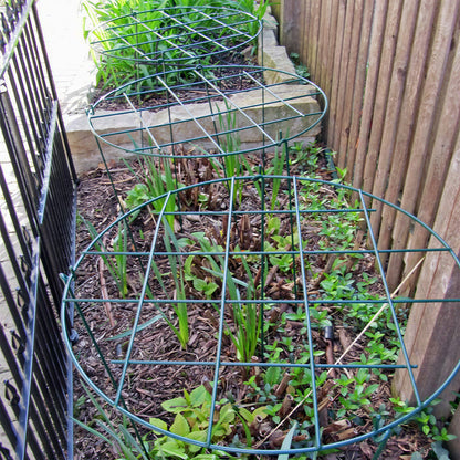 Grow It Plant Grids | Plant Support – Gardeners Dream