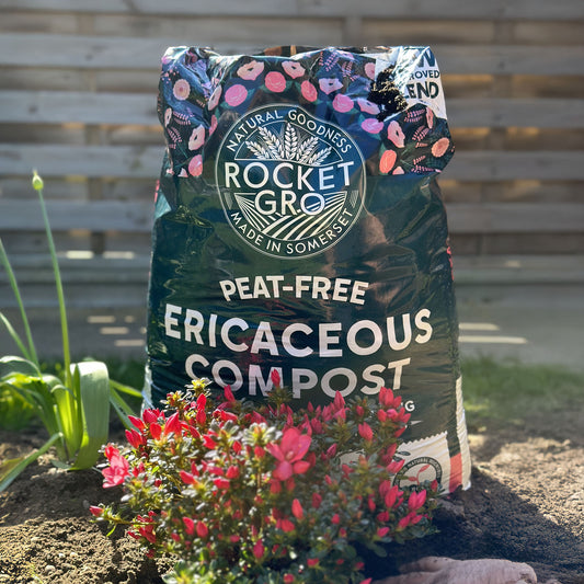 RocketGro Ericaceous Compost
