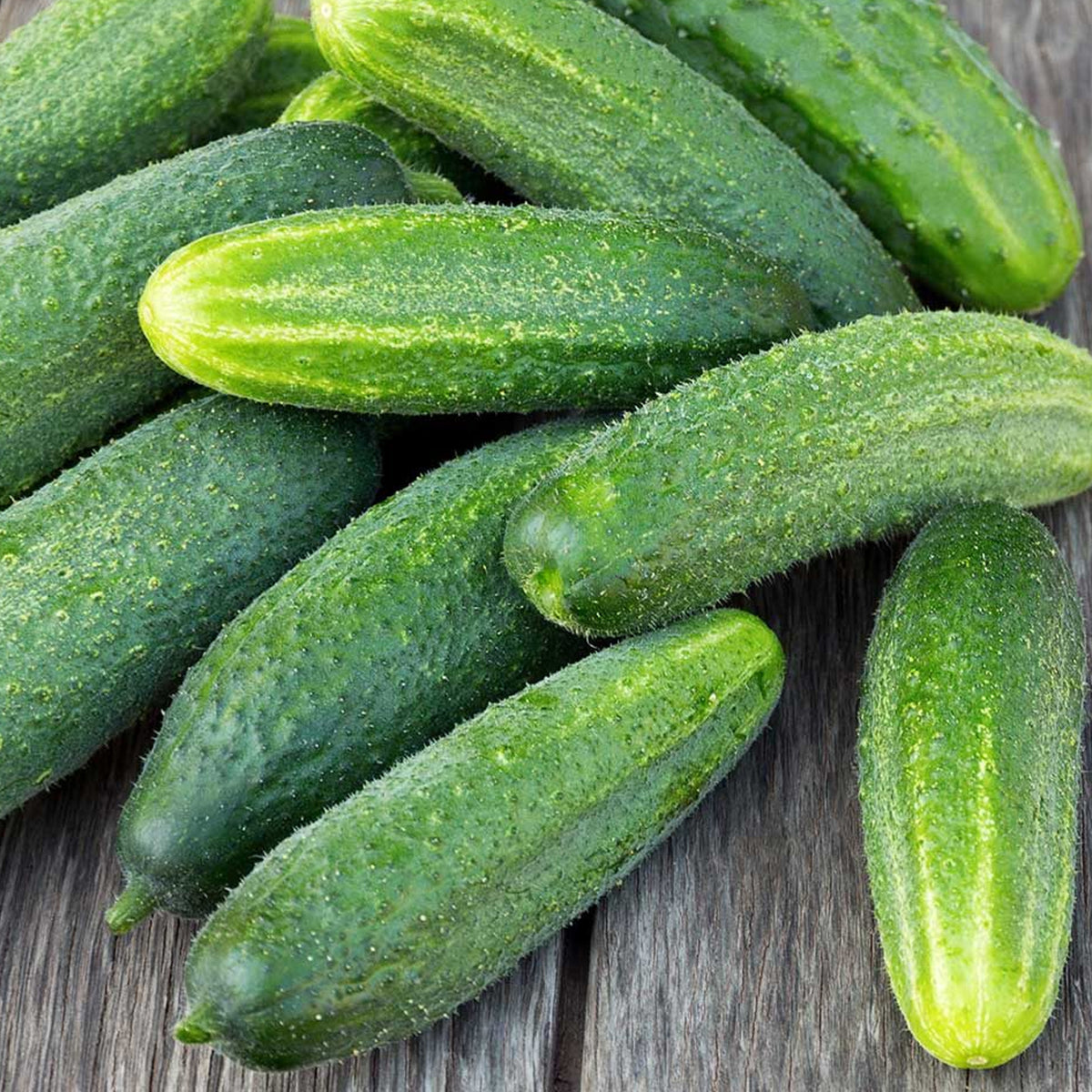 Marketmore Cucumber Seeds | Vine Plants | Free UK Delivery – Gardeners ...