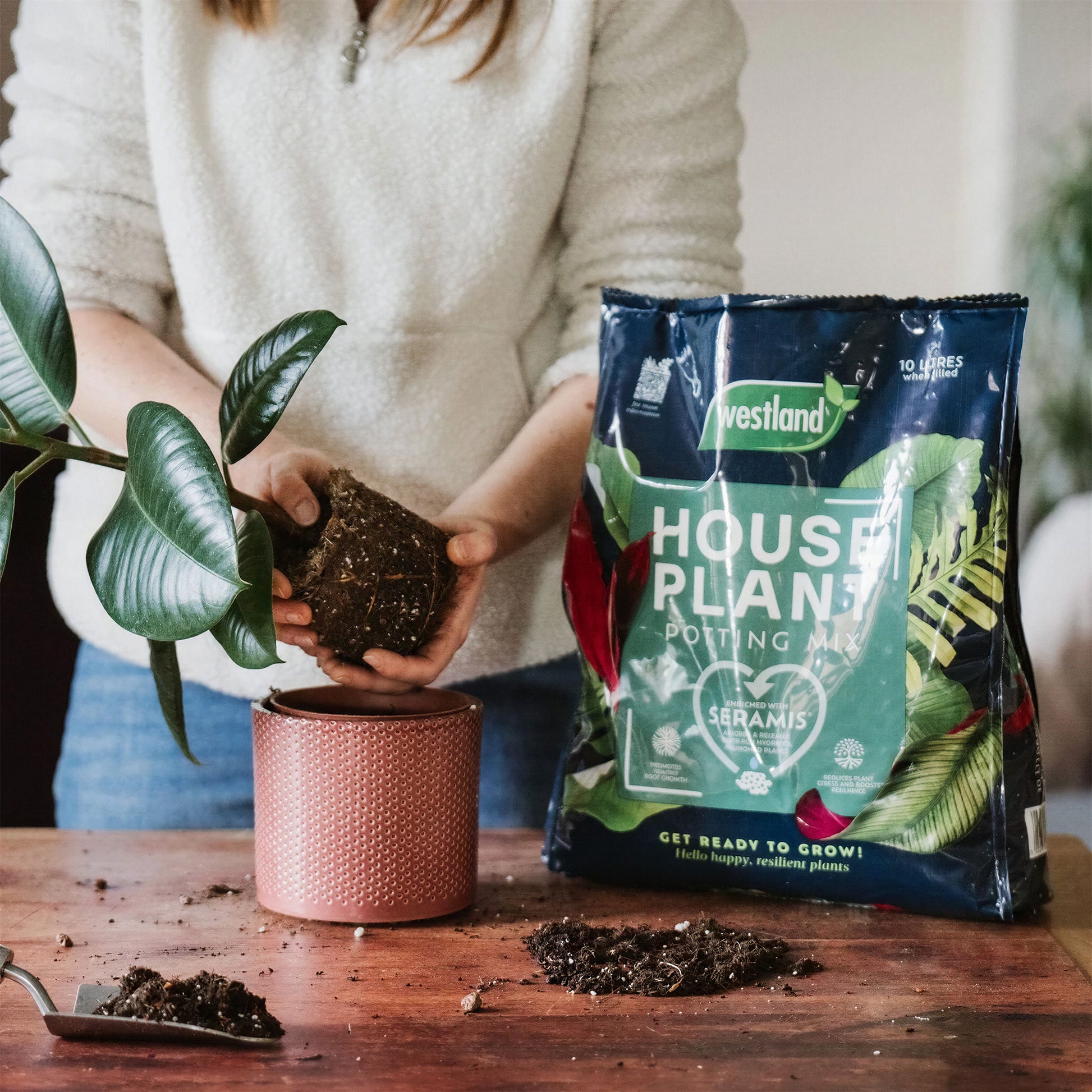 westland potting mix Houseplant Potting Mix