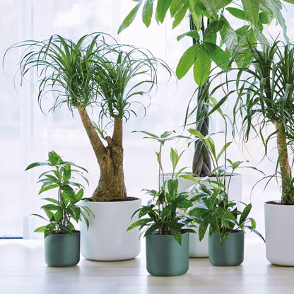 Elho B.For Soft Round Pot Green | Indoor Plant Pot | Free UK Delivery ...