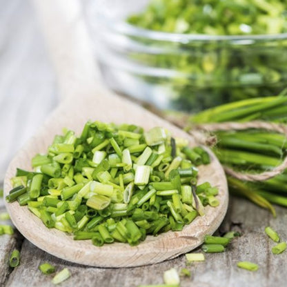 Chives Seeds | Grow Your Own Herbs | Free UK Delivery – Gardeners Dream