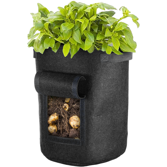 Black Vegetable Window Grow Bag