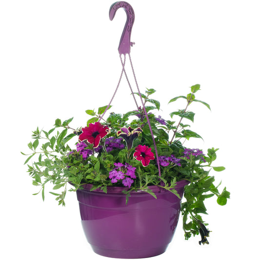 Purple Shades Hanging Basket