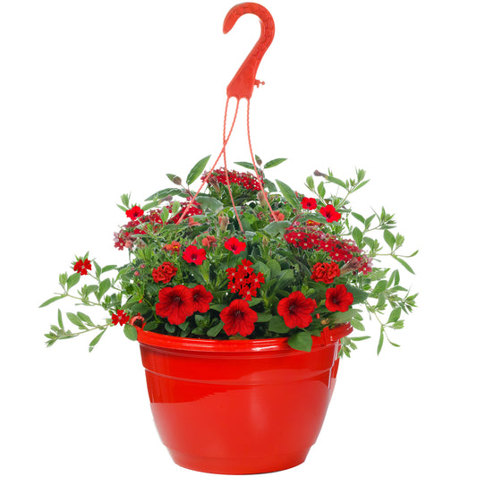 Red Shades Hanging Basket