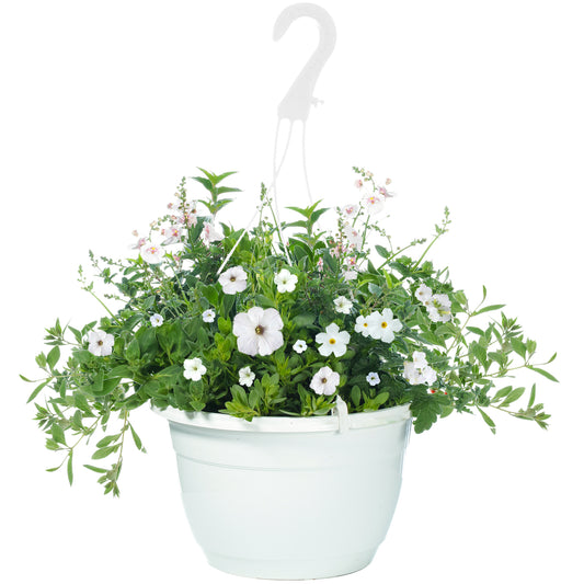 White Shades Hanging Basket