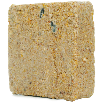 Gardeners Dream Mealworm Suet Blocks | Bird Food