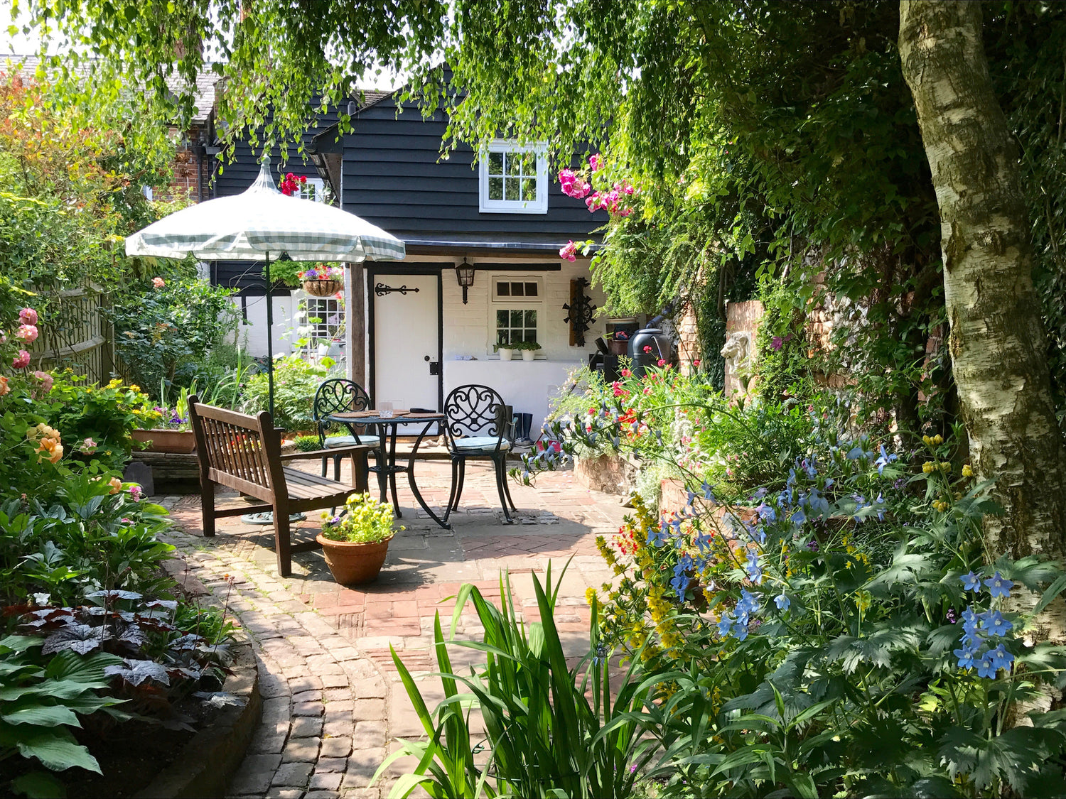 Fill your Garden with Colour