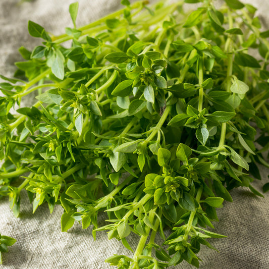 Thai Basil