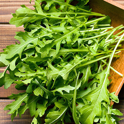 Rocket Salad | Rocket – Gardeners Dream