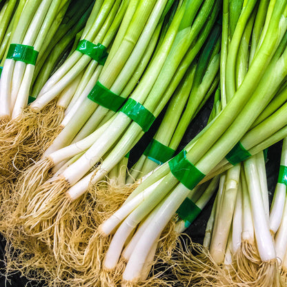 Packing Spring Onion Spring Onion Carry Pack | Spring Onion – Gardeners Dream