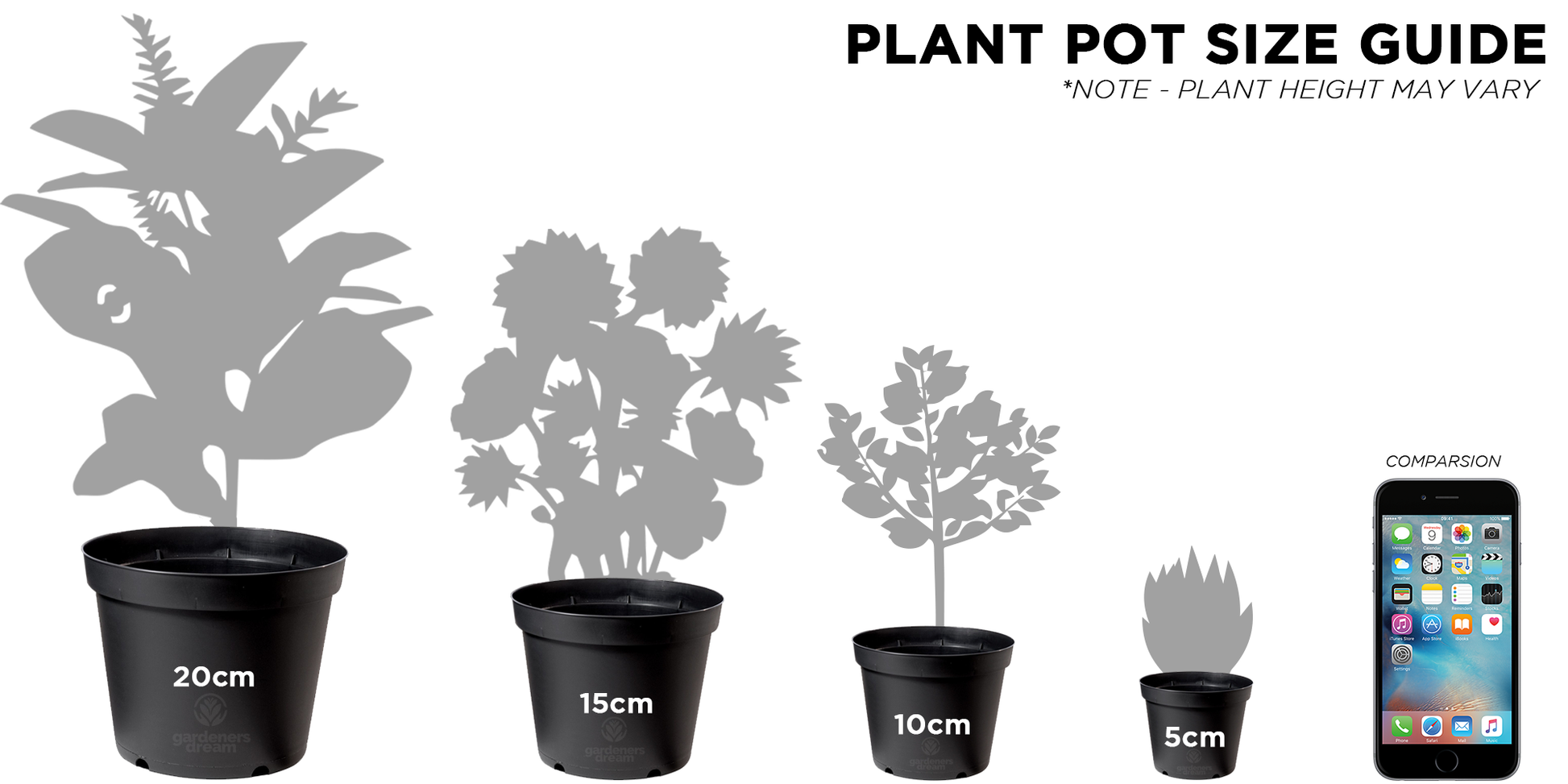 house plant pot size guide Citrus 'Calamondin'
