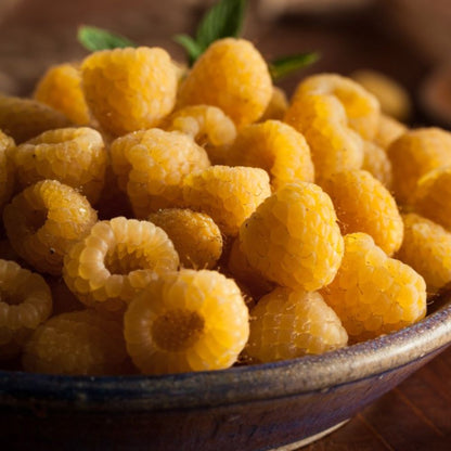 Golden Raspberry Food Raspberry 'All Gold' | Raspberry – Gardeners Dream