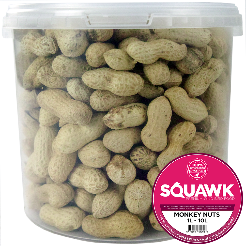 SQUAWK Monkey Nuts Tubs Bird Food Gardeners Dream squawk-monkey-nuts-tubs-bird-food-gardeners-dream