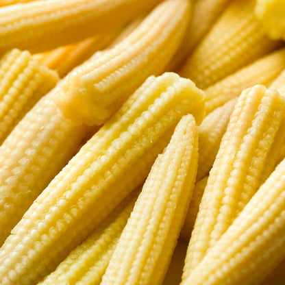 Mini Soft Corn Sweetcorn 'Minipop' | Sweetcorn – Gardeners Dream