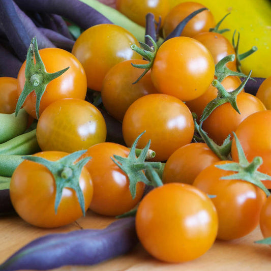 Tomato 'Sungold' F1 Seeds